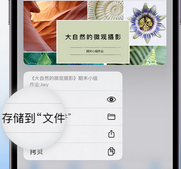 汉中apple维修中心分享iPhone文件应用中存储和找到下载文件