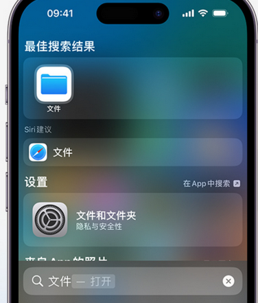 汉中apple维修中心分享iPhone文件应用中存储和找到下载文件 