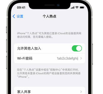 汉中apple服务站点分享iPhone上个人热点丢失了怎么办 