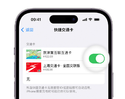 汉中apple维修点分享iPhone上更换Apple Pay快捷交通卡手绘卡面 