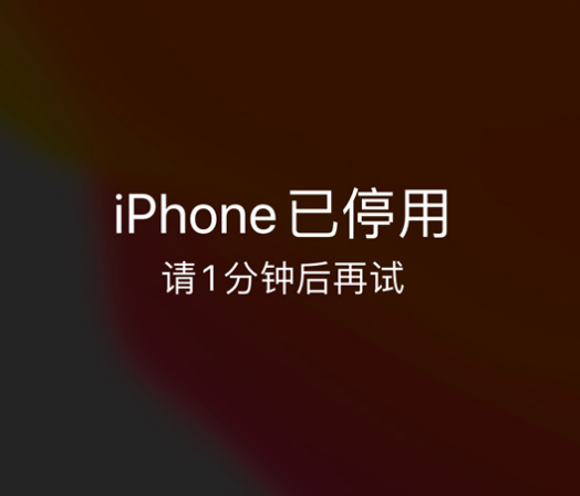 汉中苹果手机维修分享:iPhone 显示“不可用”或“已停用”怎么办？还能保留数据吗？ 