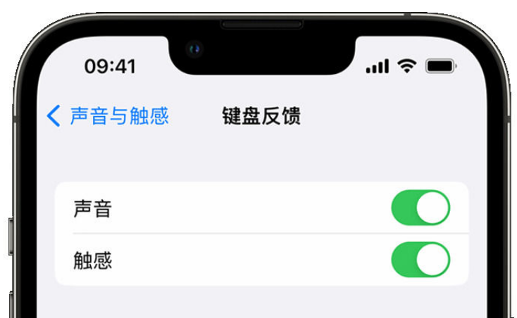 汉中苹果手机维修分享iPhone 14触感键盘使用方法 