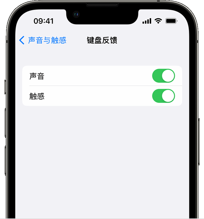 汉中苹果14维修店分享如何在 iPhone 14 机型中使用触感键盘 