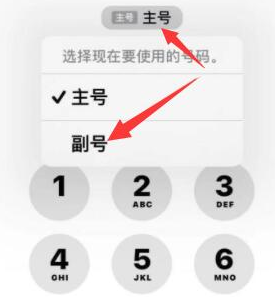 汉中苹果14维修店分享iPhone 14 Pro Max使用副卡打电话的方法 