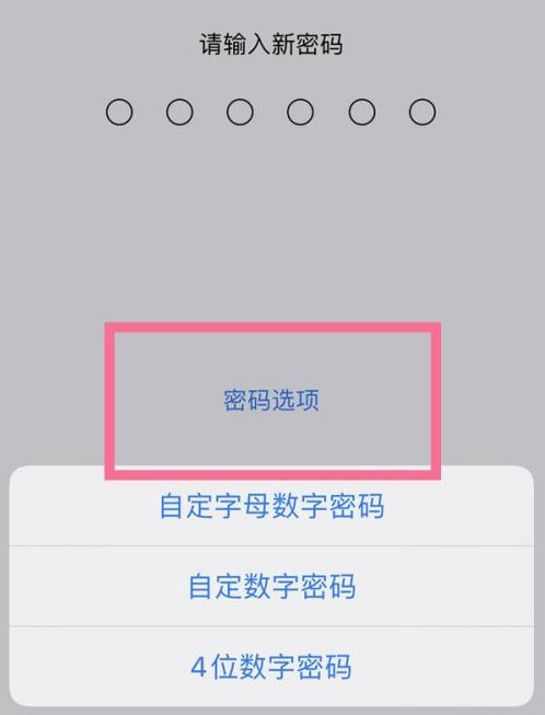 汉中苹果14维修分享iPhone 14plus设置密码的方法 