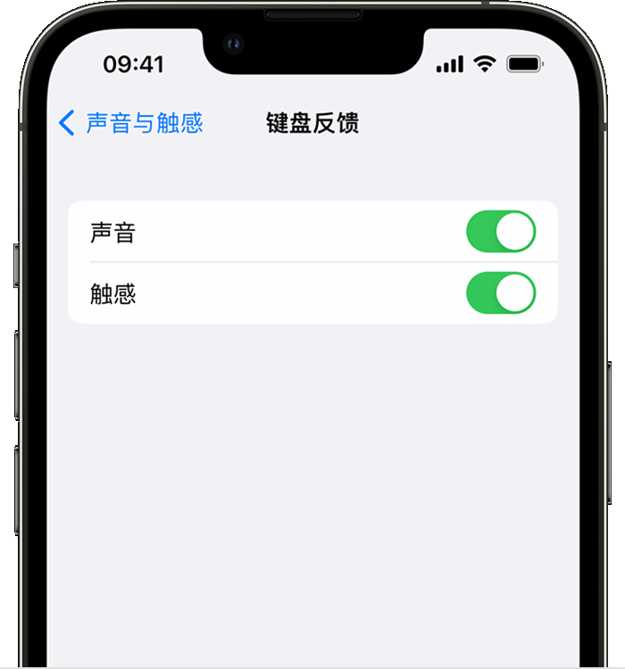 汉中苹果14维修分享iPhone 14 系列机型如何开启键盘声音或触感反馈 