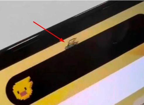 汉中苹果14维修分享iPhone 14 Pro Max灵动岛怎么养宠物 