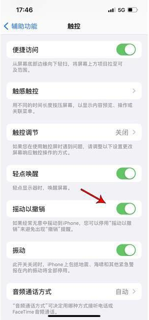 汉中苹果手机维修分享iPhone手机如何设置摇一摇删除文字 