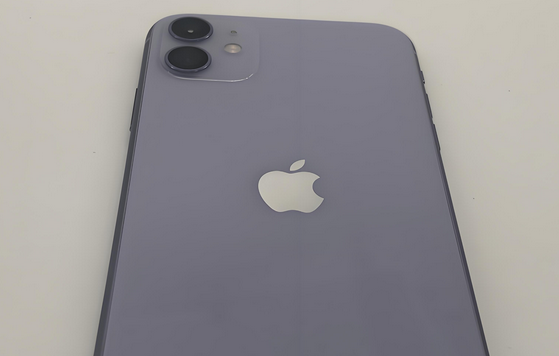 汉中苹果11系统维修分享iPhone11手机系统崩溃无法开机如何解决 